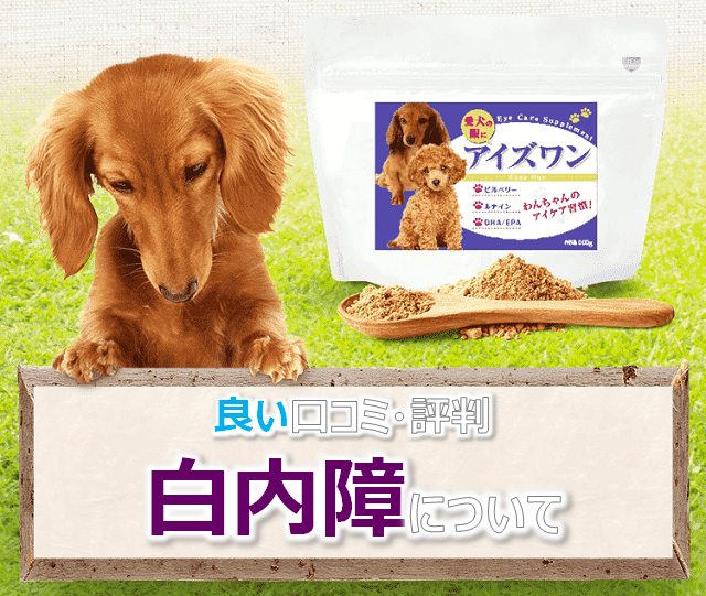 アイズワン 愛犬用サプリ は白内障に効く 口コミがこちら 5分ブログ アイズワン 愛犬用サプリ は白内障に効く 口コミがこちら 5分ブログ